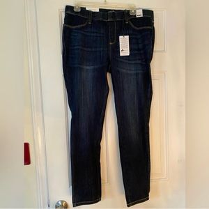 Judy Blue Skinny Jeans (NWT)
